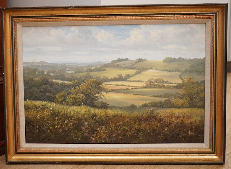 David Dipnall (1941-2023), oil on canvas, ‘Northfield, Over the Downs’, signed, Stacy Marks inscribed gallery label verso, 49 x 75cm. Condition - good